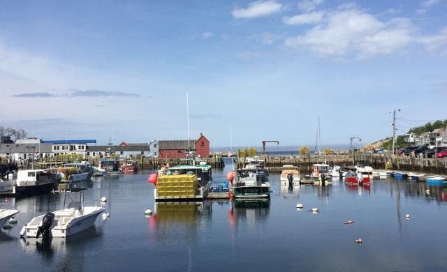 boats in harbor with red building in the distance