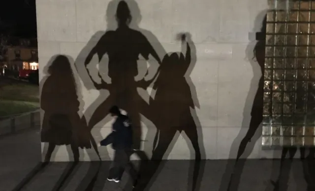 Shadows on a wall of the Carpenter Center, one of the arts buildings at Harvard