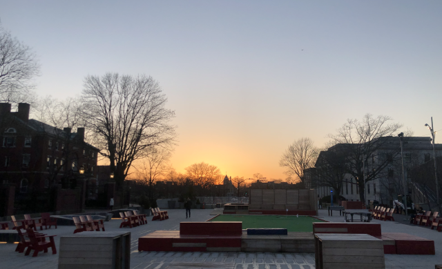 A view of the sunset and trees on campus