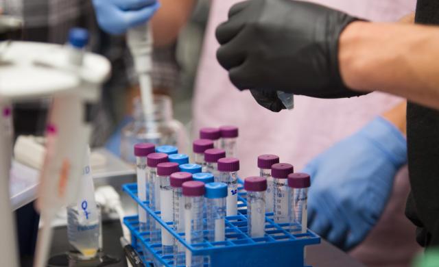 Test tubes in a laboratory