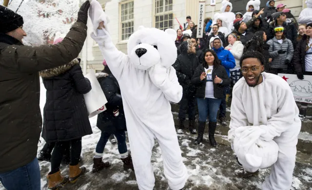 Julius Wade as Polar Bear - Housing Day (2019)