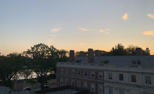 View from the roof of a building