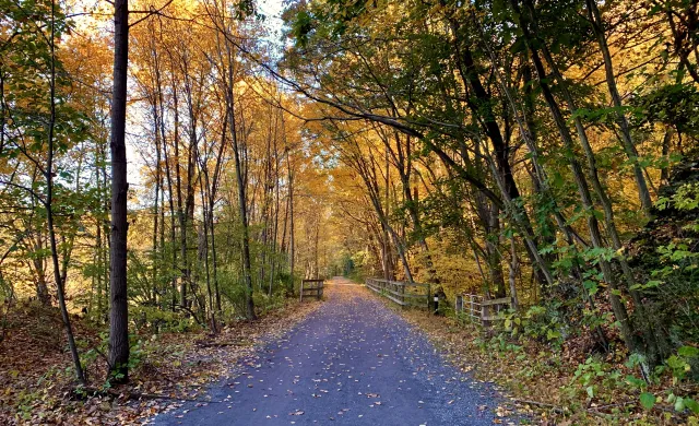 fall trail