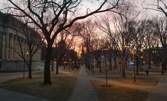 A view of Tercentenary Theatre at dusk