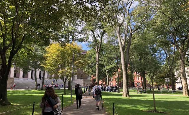 outside walking to classes on a sunny day with bright green trees and grass