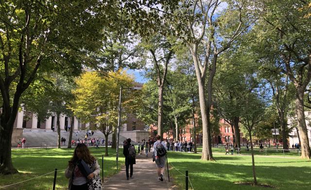 outside walking to classes on a sunny day with bright green trees and grass