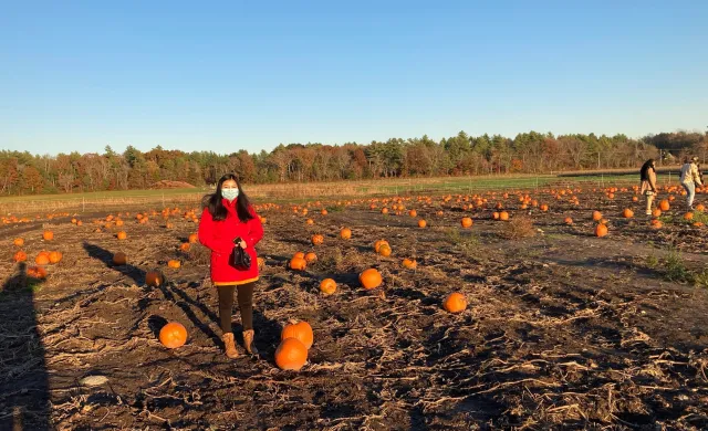 Girl in a field of pumpkins.