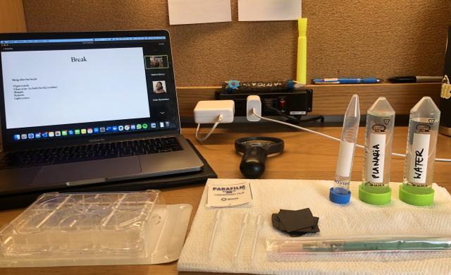 My desk with a laptop and all the materials I need to dissect the worms