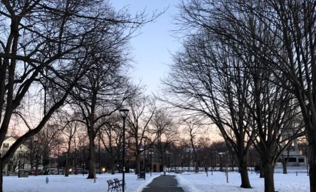 A pathway on a snowy winter day