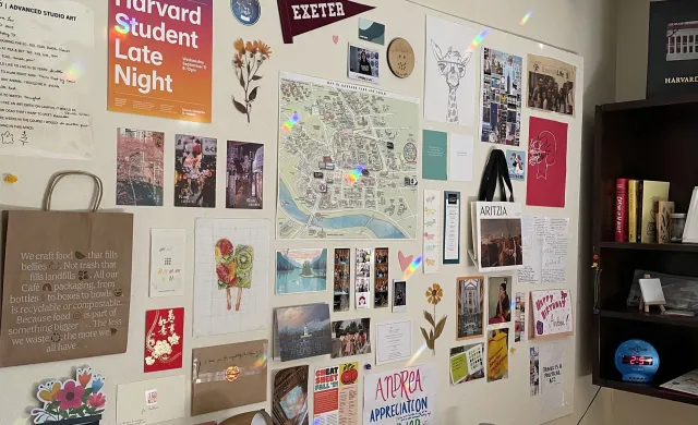 A wall decorated with momentos