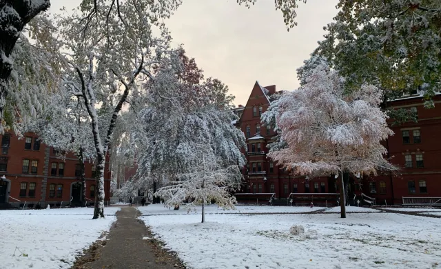 Harvard Yard covered in snow 