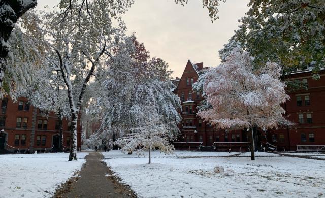 Harvard Yard covered in snow 