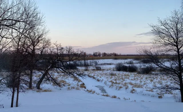 Image of a snowy field with a frozen stream at dawn. 