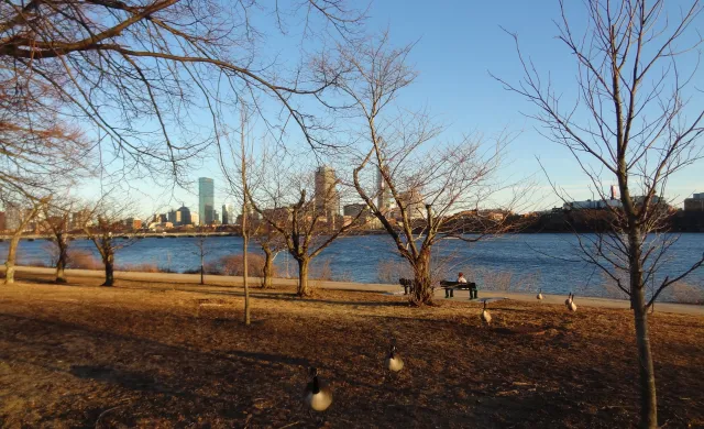river with city in the background