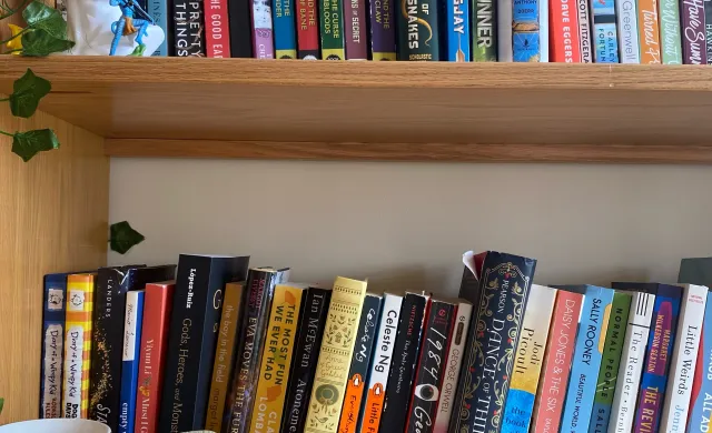 A picture of my bookshelf, featuring some figurines I have for decoration.