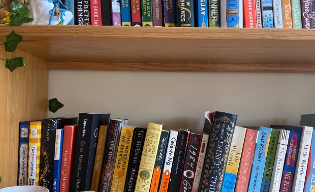 A picture of my bookshelf, featuring some figurines I have for decoration.