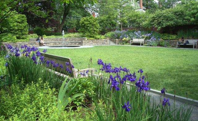The Sunken Garden