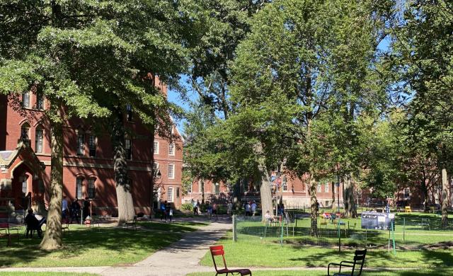 Picture of Harvard Yard