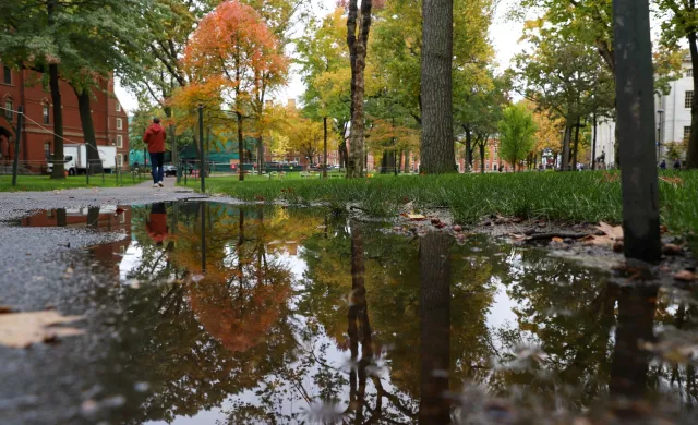 A view of Harvard Yard as it rains in the Fall