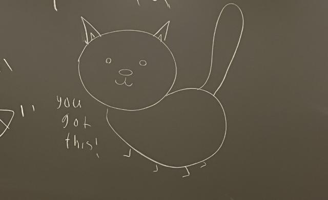 Drawing of a cat on a chalk board with the message "you got this!" written on the left