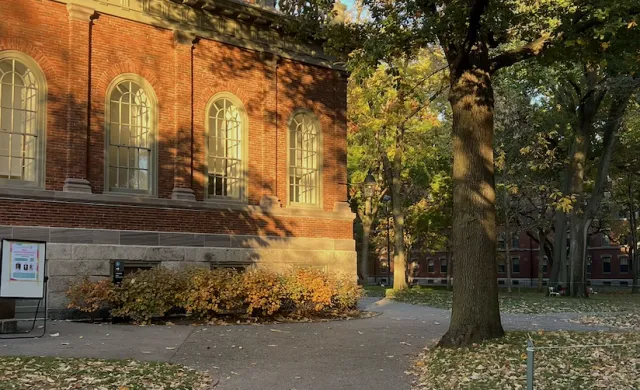 A path in Harvard's yard during the fall with green, yellow, and red leaves on the ground.