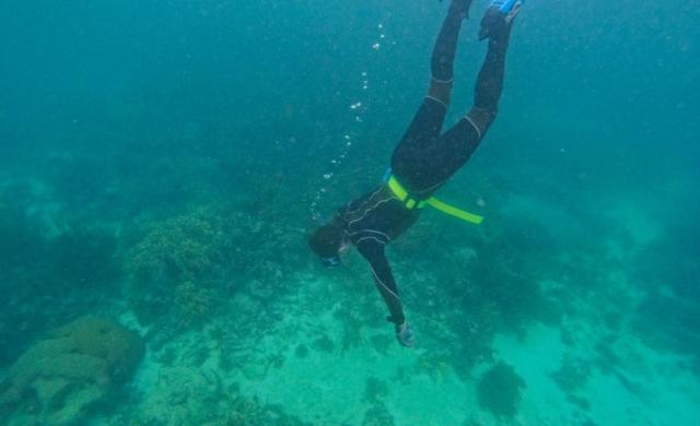 Ida snorkeling 