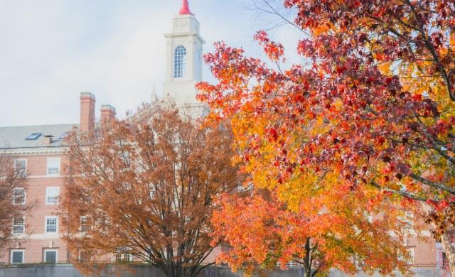 Harvard Campus on a Fall Day