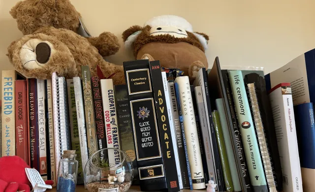 Books lined up on a shelf