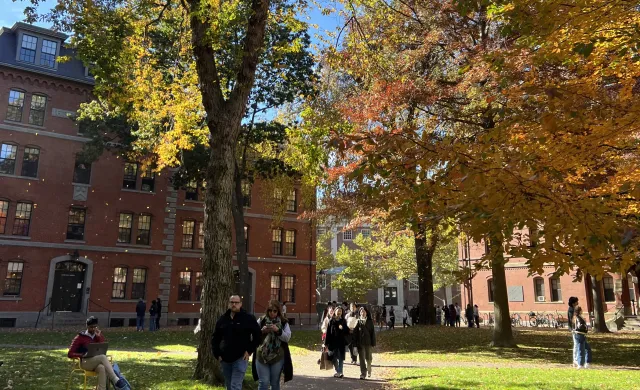 Harvard Yard