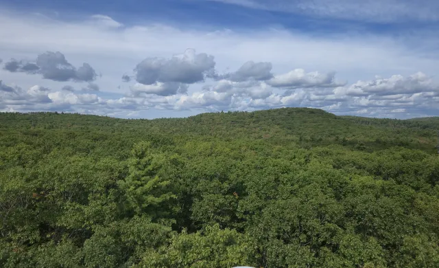 Aerial view of Harvard Forest