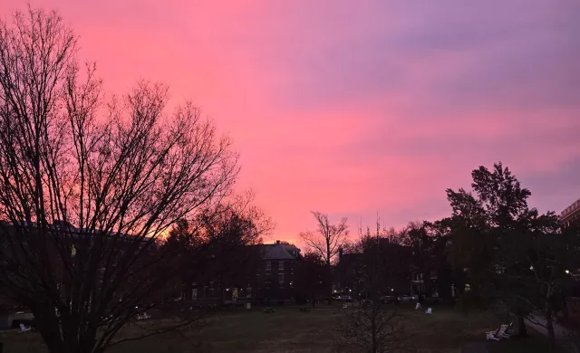 pink sunset