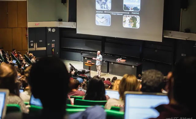 Class in a large lecture room