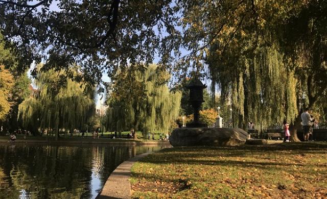 a waterside view of the boston public garden