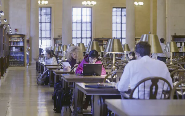 Students studying in Widener Library