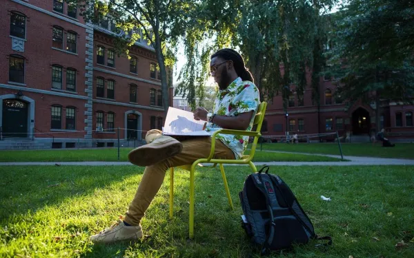 Student studying in Harvard Yard
