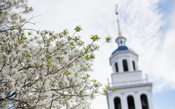 a tree with flowers in front of steeple