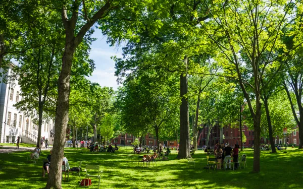 Harvard Yard in the summer
