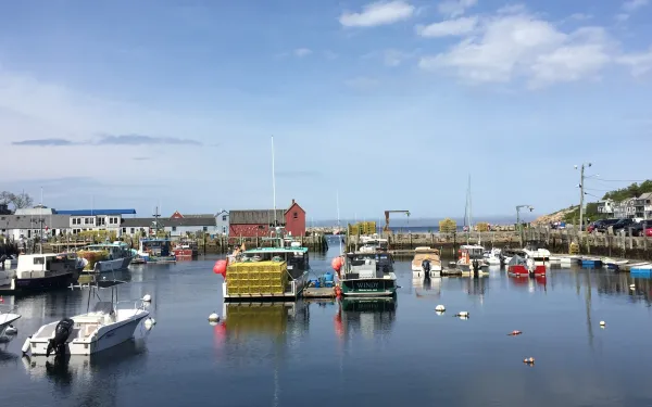 boats in harbor with red building in the distance