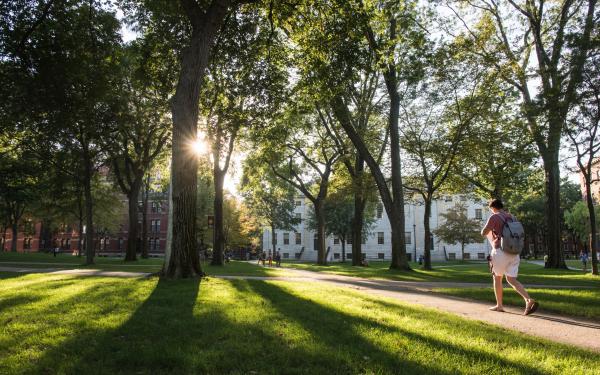 A student walks through Harvard Yard at dusk