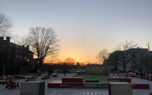 A view of the sunset and trees on campus