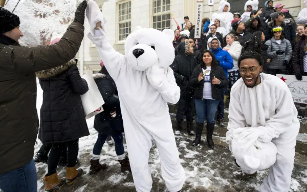 Julius Wade as Polar Bear - Housing Day (2019)
