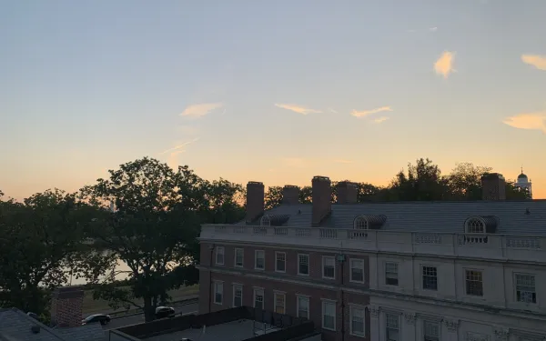 View from the roof of a building