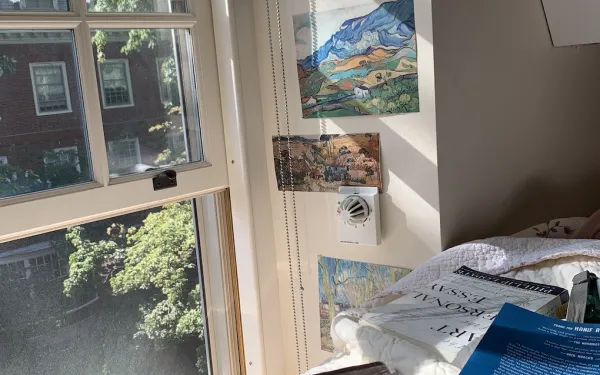 books scattered across a bed and a view of trees and sunlight through the window