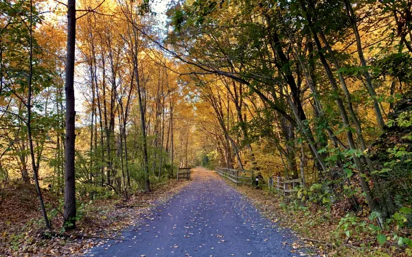 fall trail