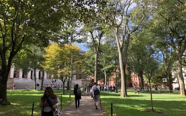 outside walking to classes on a sunny day with bright green trees and grass