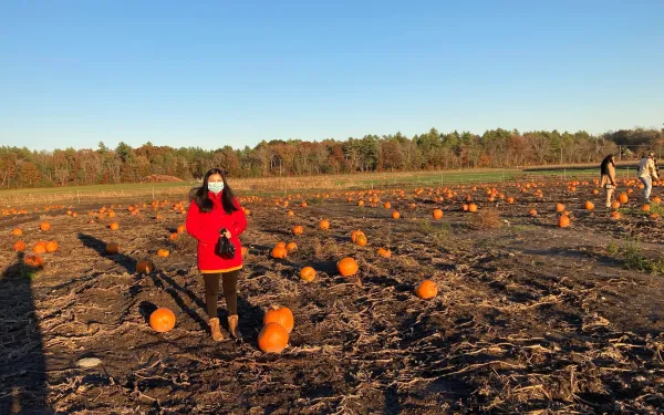 Girl in a field of pumpkins.