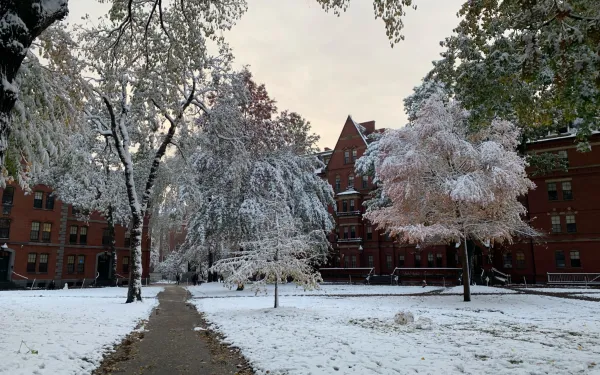 Harvard Yard covered in snow 