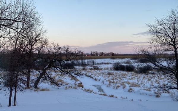 Image of a snowy field with a frozen stream at dawn. 