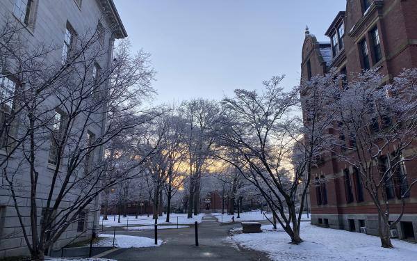 A sunrise over Harvard Yard on a winter morning, the same morning as the 2022 Housing Day.