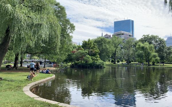 Picture of a pond at the Boston Public Garden with a tree on the side and in the background.